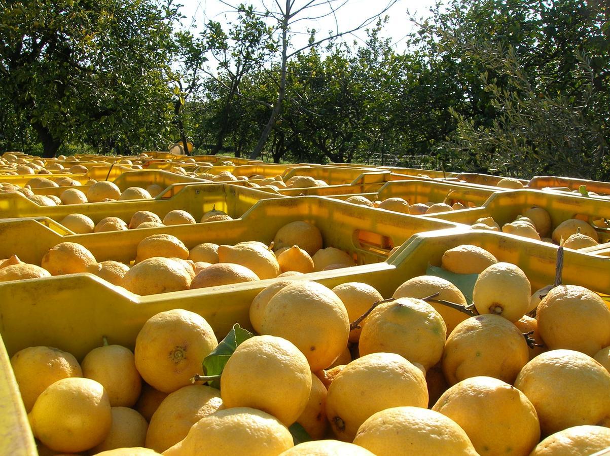 Agriturismo San Leonardello Bagian luar foto