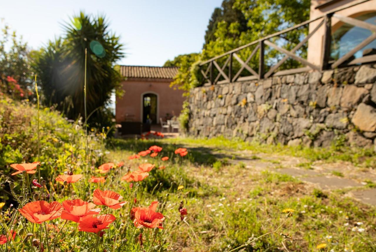 Agriturismo San Leonardello Bagian luar foto